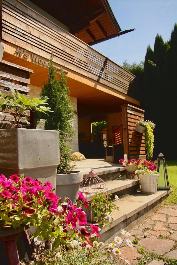 M'S Wood Appartement Maishofen Ngoại thất bức ảnh
